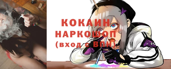 apvp Алексин