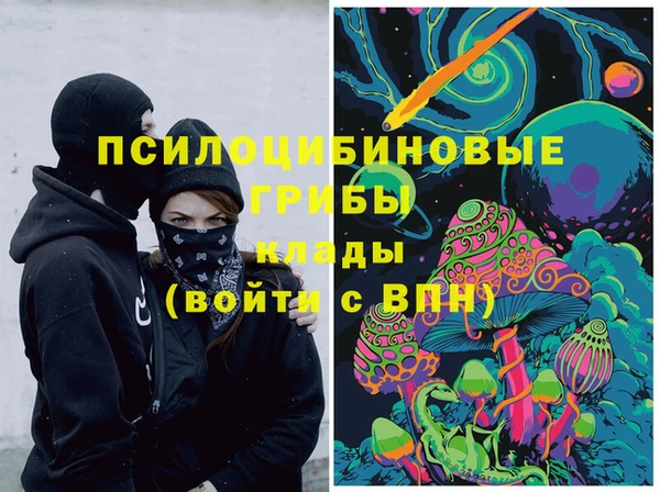 ПСИЛОЦИБИНОВЫЕ ГРИБЫ Алексеевка