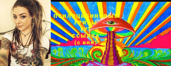 apvp Алексин