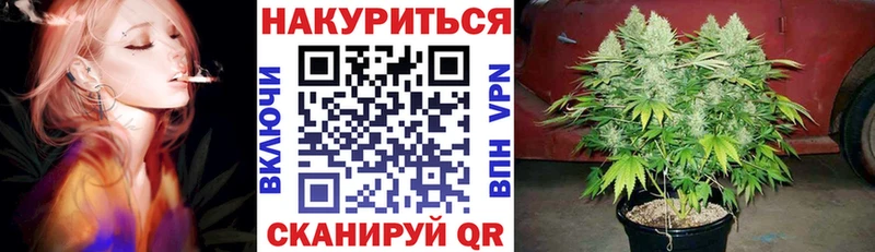где купить наркотик  Камызяк  Бошки марихуана планчик 